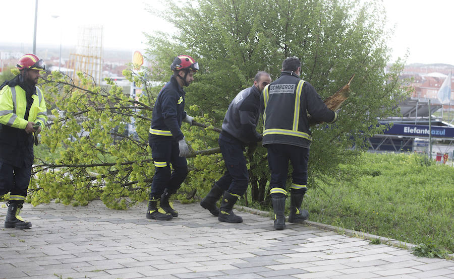Las intervenciones del cuerpo de bomberos de Valladolid se han visto incrementadas de forma repentina en la tarde de este domingo a causa de la tormenta. 