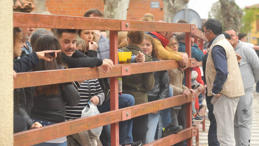 Tres mujeres resultaron este sábado heridas en La Seca durante el Toro del Sarmiento, que se programa con motivo de la Fiesta del Verdejo, una cita que se ha convertido en un éxito de participación y de asistentes en el municipio. 