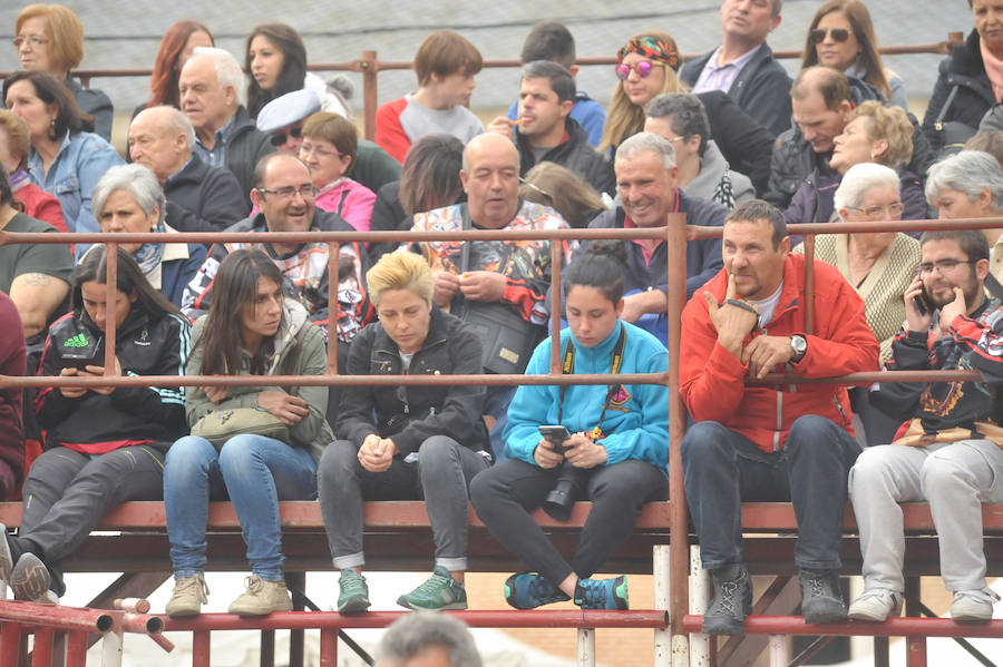 Tres mujeres resultaron este sábado heridas en La Seca durante el Toro del Sarmiento, que se programa con motivo de la Fiesta del Verdejo, una cita que se ha convertido en un éxito de participación y de asistentes en el municipio. 