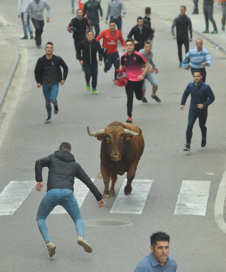 Tres mujeres resultaron este sábado heridas en La Seca durante el Toro del Sarmiento, que se programa con motivo de la Fiesta del Verdejo, una cita que se ha convertido en un éxito de participación y de asistentes en el municipio. 