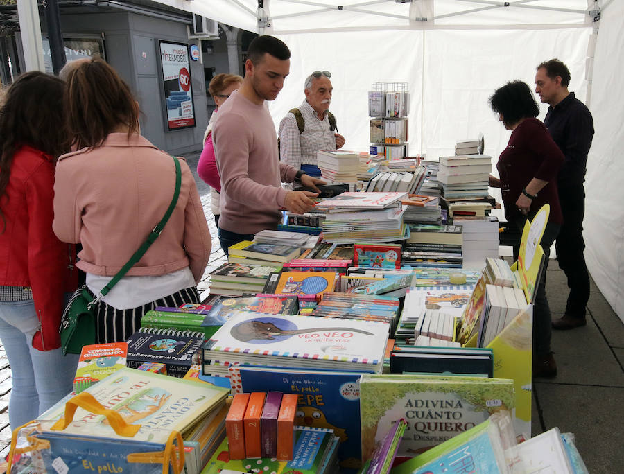 Fotos: Celebración del Día del Libro en Segovia