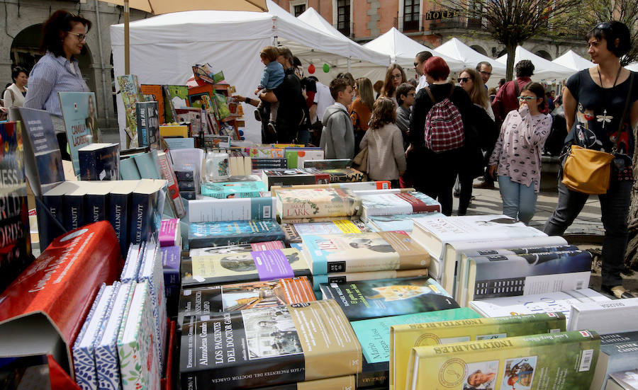 Fotos: Celebración del Día del Libro en Segovia