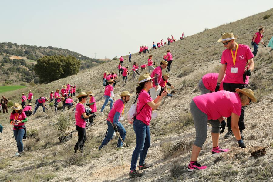 Fotos: Jornada de reforestación en Cevico Navero