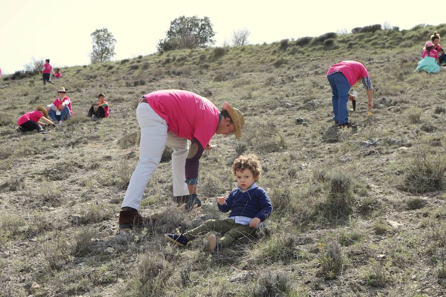 Fotos: Jornada de reforestación en Cevico Navero