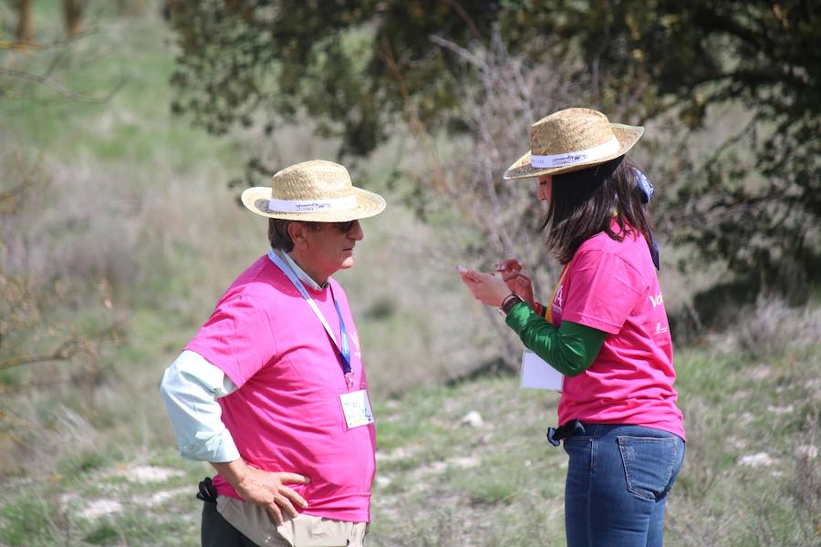 Fotos: Jornada de reforestación en Cevico Navero