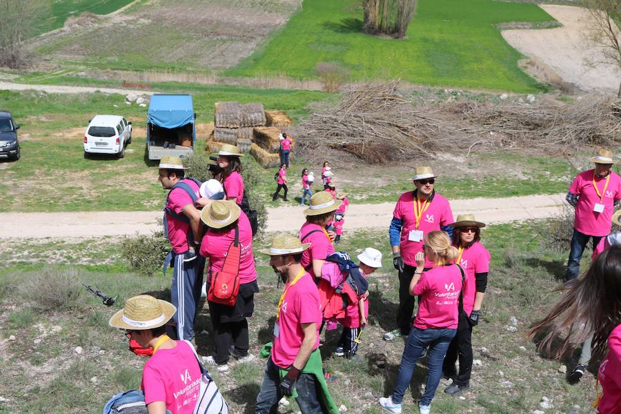 Fotos: Jornada de reforestación en Cevico Navero