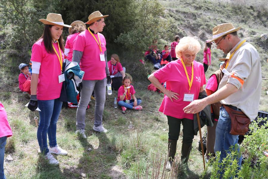 Fotos: Jornada de reforestación en Cevico Navero