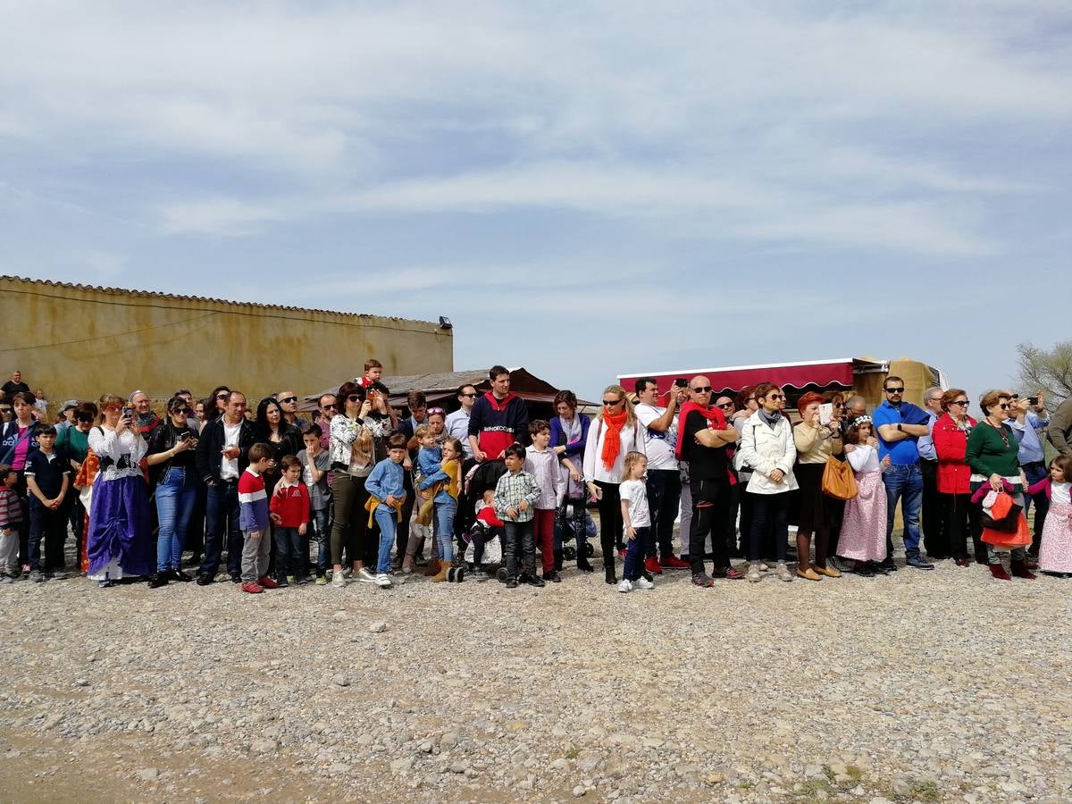 Fotos: Mercado comunero en Torrelobatón