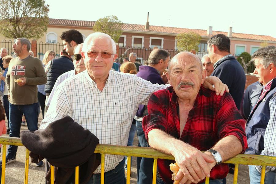 Fotos: Degustación de panceta en Torquemada
