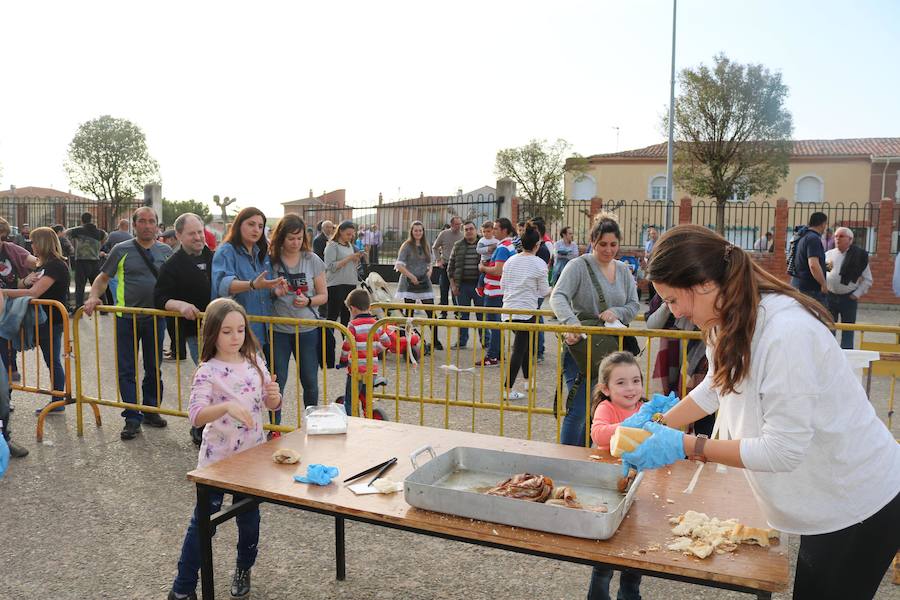Fotos: Degustación de panceta en Torquemada