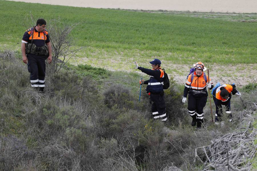 La Junta de Castilla y León organizó este fin de semana en Peñafiel un curso para voluntarios de Protección Civil sobre 'La búsqueda de personas desaparecidas en grandes áreas'. 