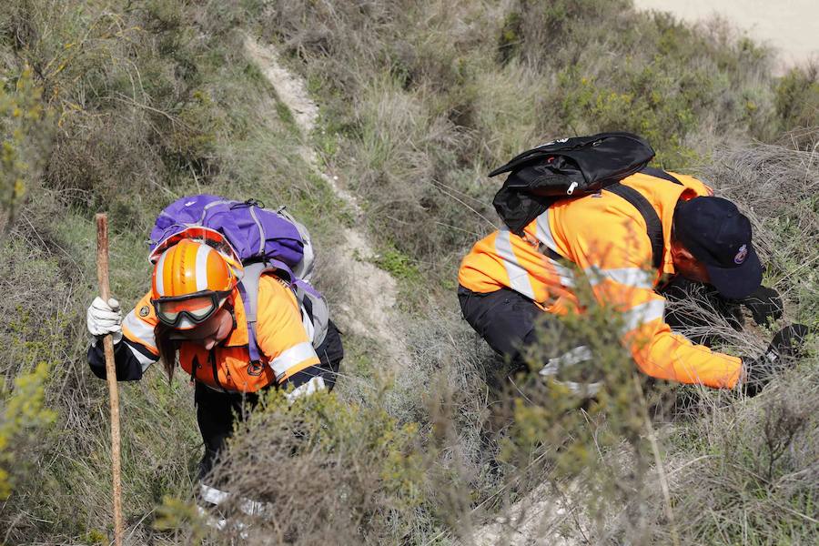 La Junta de Castilla y León organizó este fin de semana en Peñafiel un curso para voluntarios de Protección Civil sobre 'La búsqueda de personas desaparecidas en grandes áreas'. 