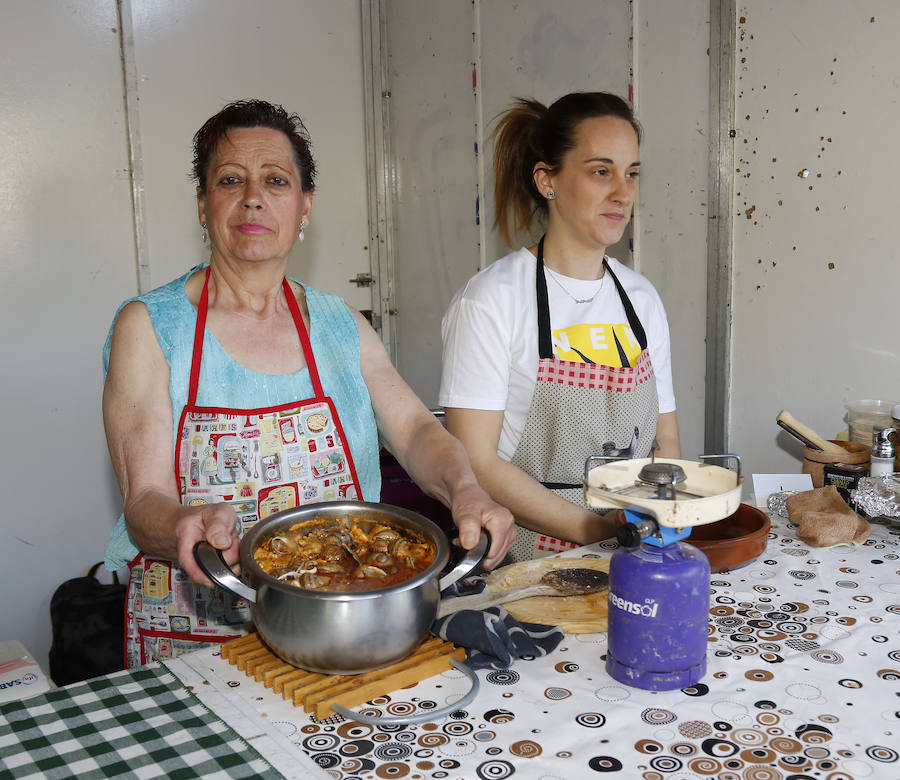 Fotos: Romeria de San Marcos en Palencia