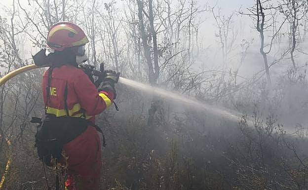 Efectivos de la UME trabajando en la zona del incendio.