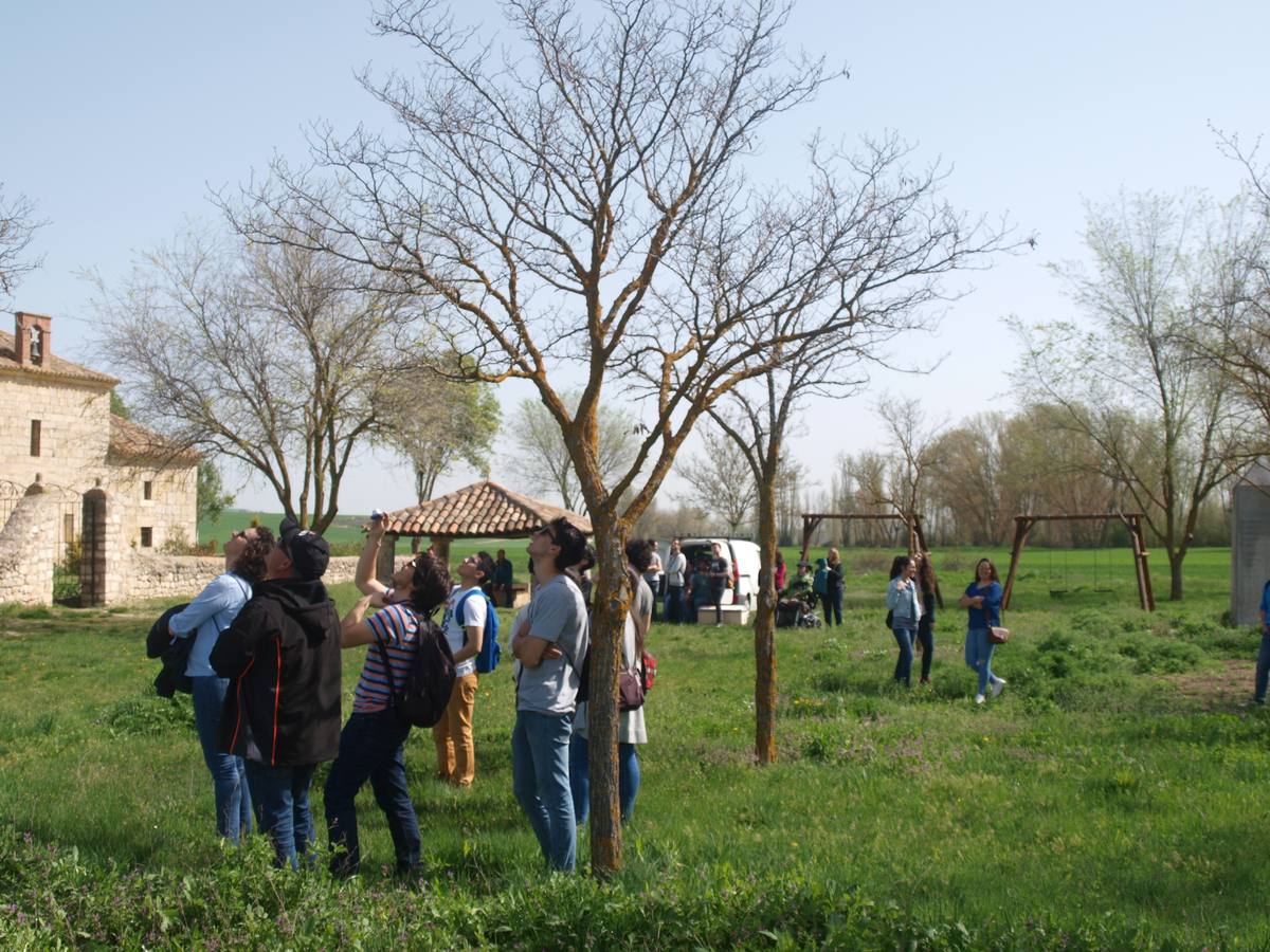 Fotos: Alumnos y profesores del IES La Merced de Valladolid participan en un proyecto de fotogrametría en la ermita del Villar en Gallegos de Hornija