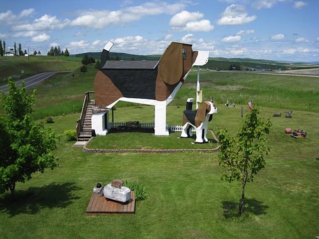 Dog Bark Park Inn. Un hotel en forma de perro situado en la ciudad de Cottonwood, en el estado de Idaho, Estados Unidos. Es un bed and breakfast de dos dormitorios decorado con una temática canina sorprendente.