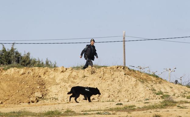 Imagen principal - En la imagen superior, un perro de la Guardia Civil busca pistas en el lugar de los hechos. Abajo, el Ayuntamiento de Castrogonzalo con crespones negros y banderas a media asta. Y a la derecha, la vivienda en la que los efectivos de la Benemérita entraban y salían durante toda la mañana.