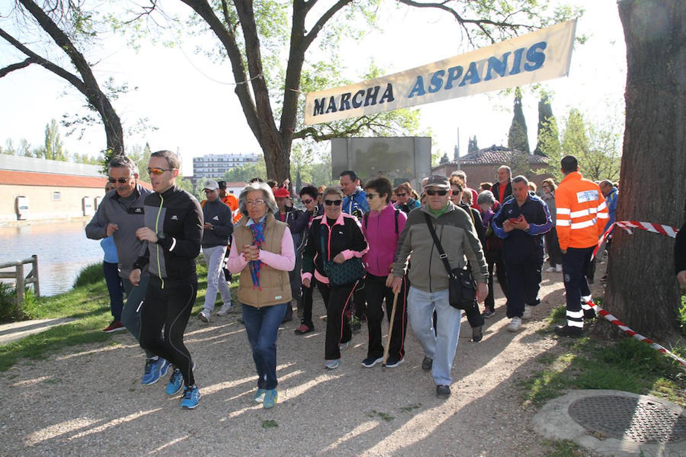 Fotos: Palencia camina a favor de Aspanis