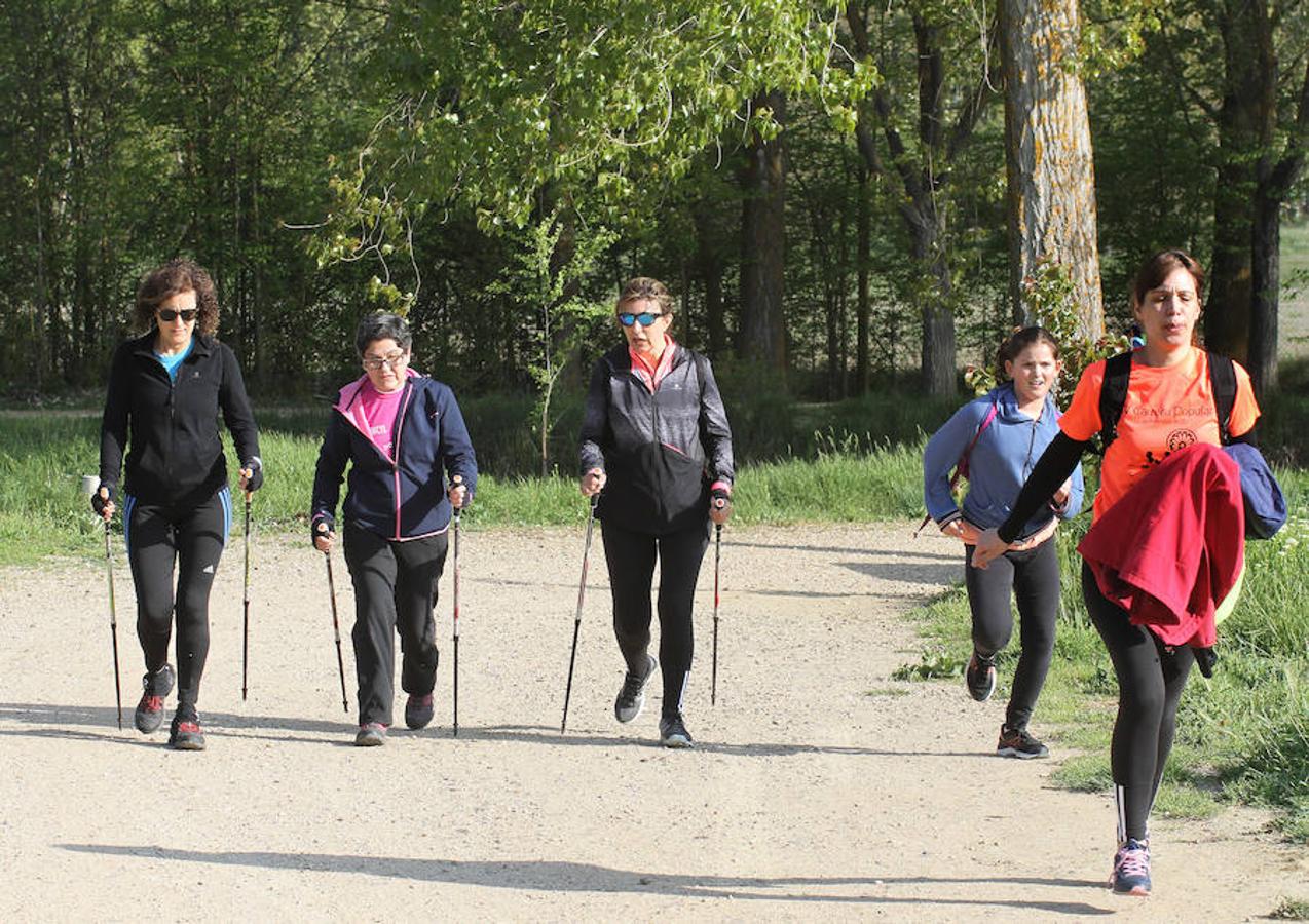 Fotos: Palencia camina a favor de Aspanis