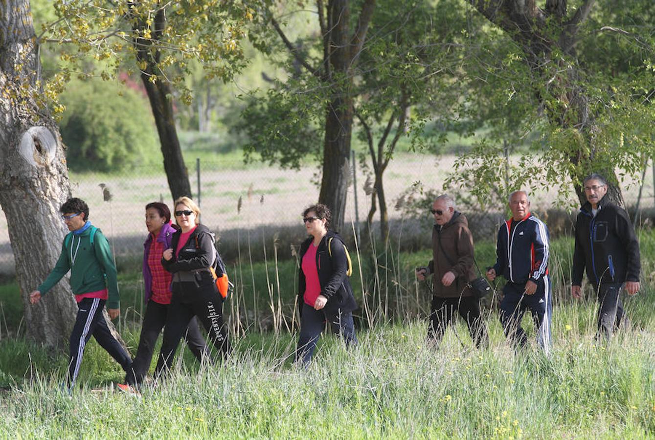 Fotos: Palencia camina a favor de Aspanis