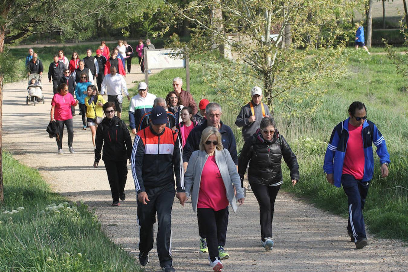 Fotos: Palencia camina a favor de Aspanis
