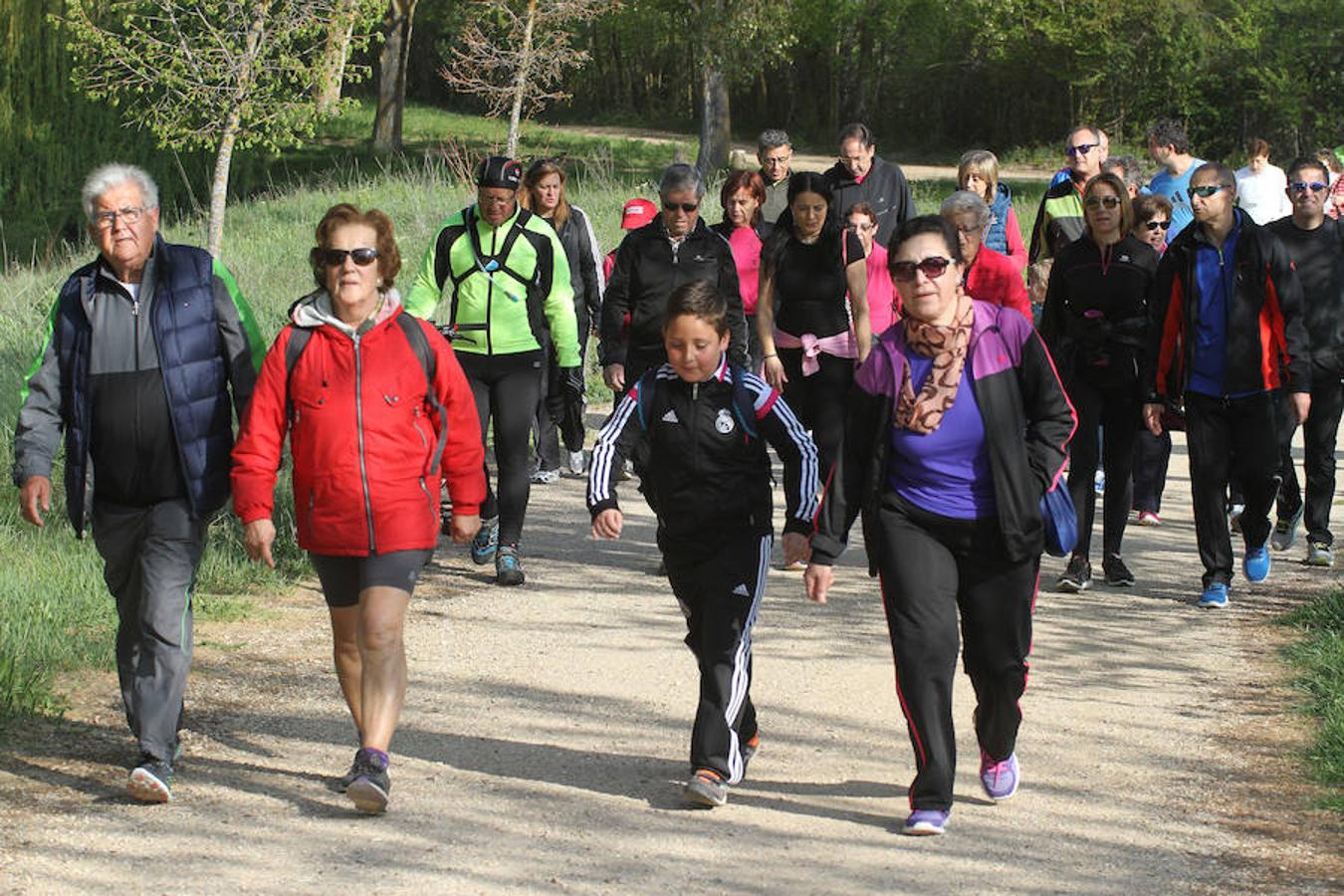 Fotos: Palencia camina a favor de Aspanis