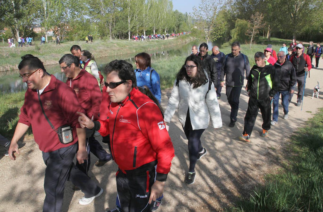 Fotos: Palencia camina a favor de Aspanis