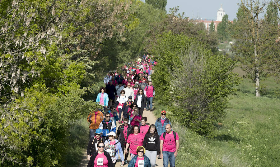 Fotos: 41 edición de la Marcha Asprona en Valladolid