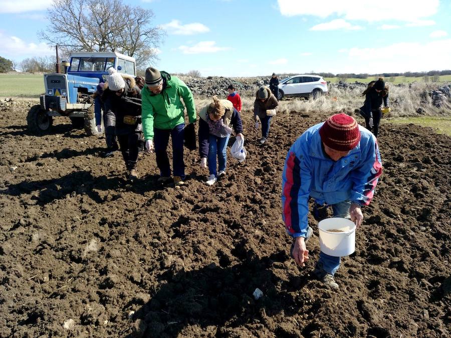 Fotos: Jornada de la asociación Santa Bárbara de Hérmedes