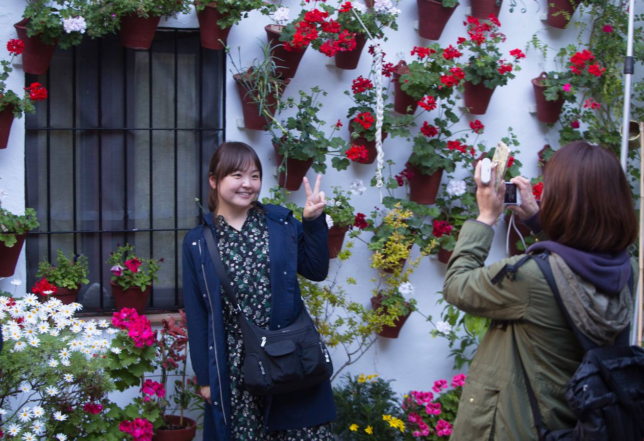 El Concurso Municipal de Los Patios de Córdoba celebra su edición de 2018, del 1 al 13 de mayo, con la participación de un total de 50 recintos