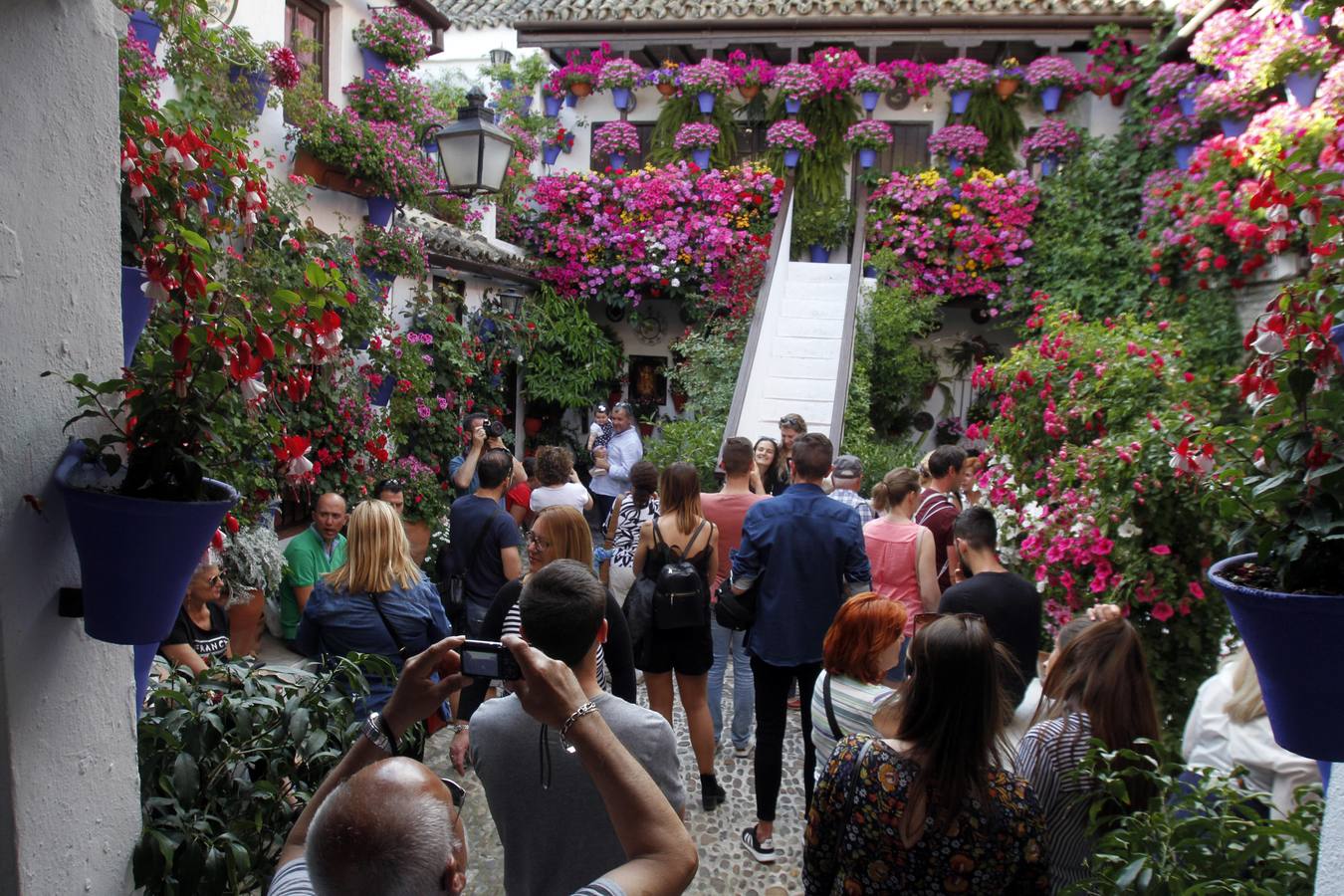 El Concurso Municipal de Los Patios de Córdoba celebra su edición de 2018, del 1 al 13 de mayo, con la participación de un total de 50 recintos