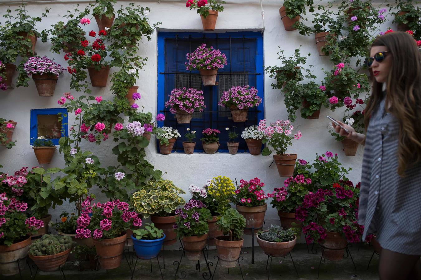 El Concurso Municipal de Los Patios de Córdoba celebra su edición de 2018, del 1 al 13 de mayo, con la participación de un total de 50 recintos