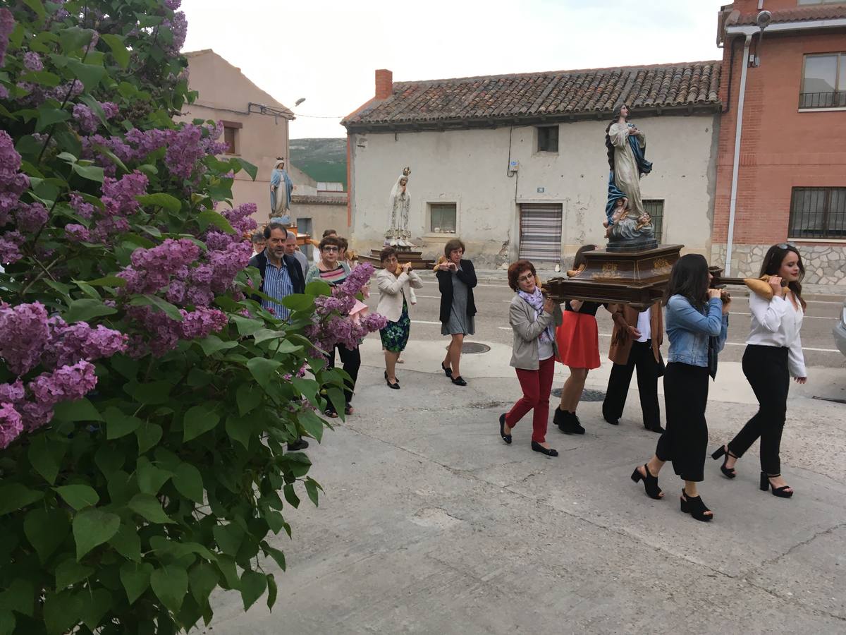 Diecisiete santos desfilaron sobre una alfombra floral confeccionada para su patrón en las fiestas de la localidad