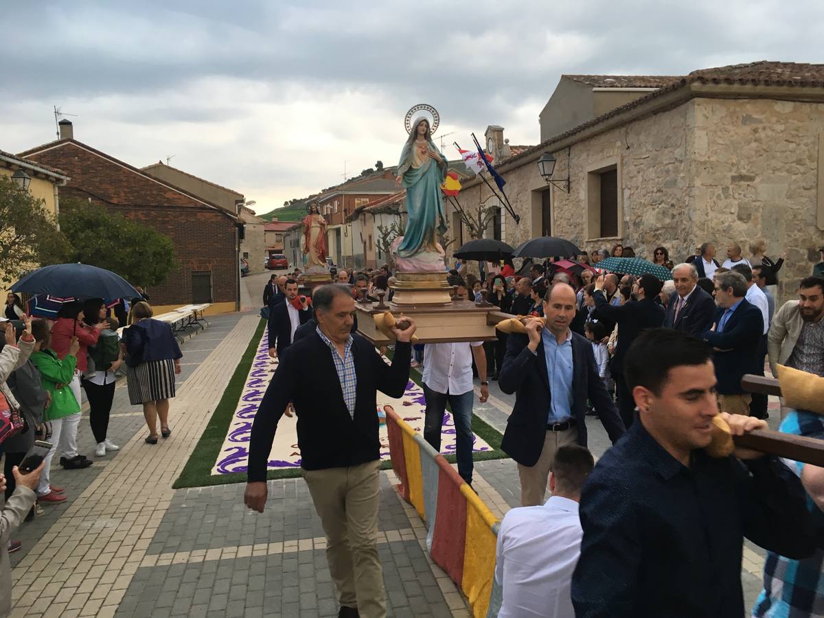 Diecisiete santos desfilaron sobre una alfombra floral confeccionada para su patrón en las fiestas de la localidad