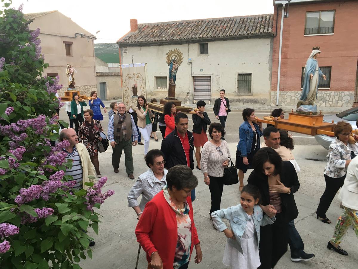 Diecisiete santos desfilaron sobre una alfombra floral confeccionada para su patrón en las fiestas de la localidad