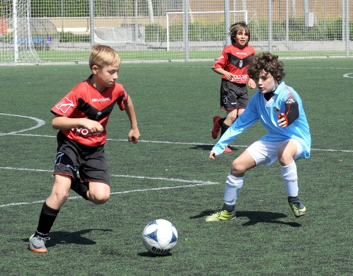 Fotos: Deporte Base del 5 y 6 de mayo. Valladolid