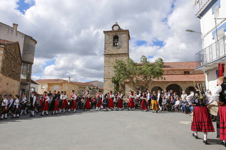 El municipio celebró ayer por todo lo alto, y con numerosa presencia de público, la undécima edición del Festival de Danzas Reserva de la Biosfera 'Sierras de Béjar y de Francia', un certamen que nació ligado al programa 'Primavera en las Sierras'. 