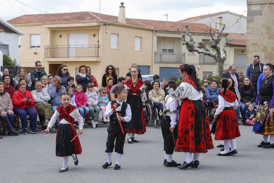 El municipio celebró ayer por todo lo alto, y con numerosa presencia de público, la undécima edición del Festival de Danzas Reserva de la Biosfera 'Sierras de Béjar y de Francia', un certamen que nació ligado al programa 'Primavera en las Sierras'. 