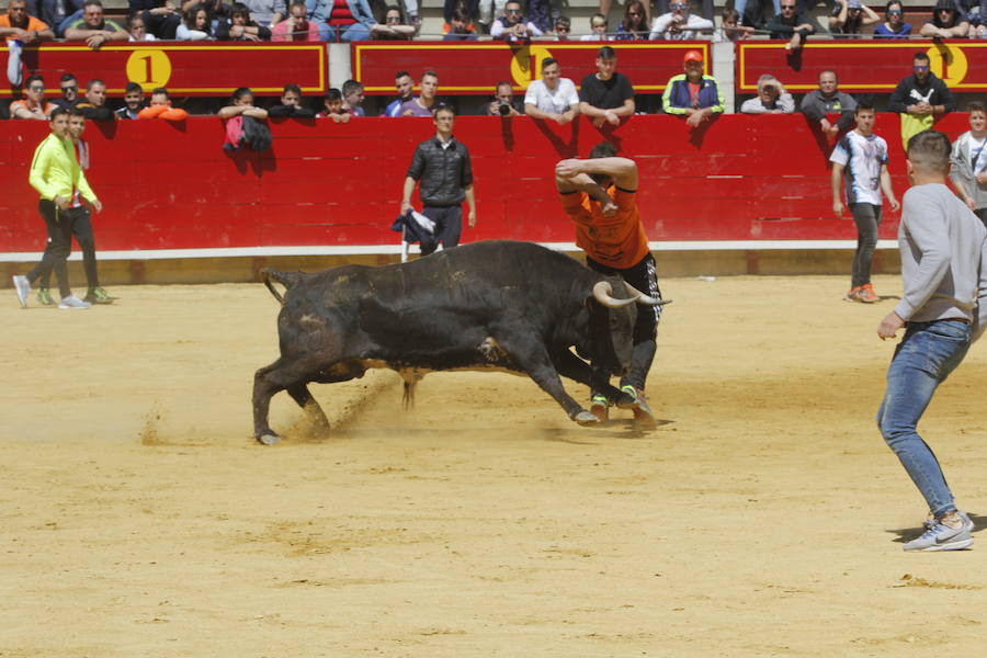 Fotos: Las fiestas de San Pedro Regalado en Laguna de Duero ya han comenzado