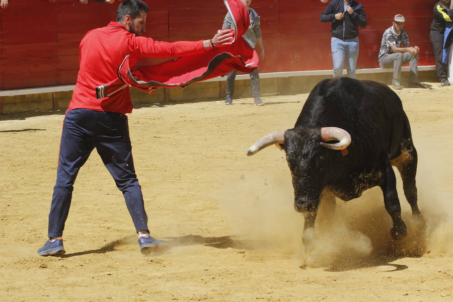 Fotos: Las fiestas de San Pedro Regalado en Laguna de Duero ya han comenzado