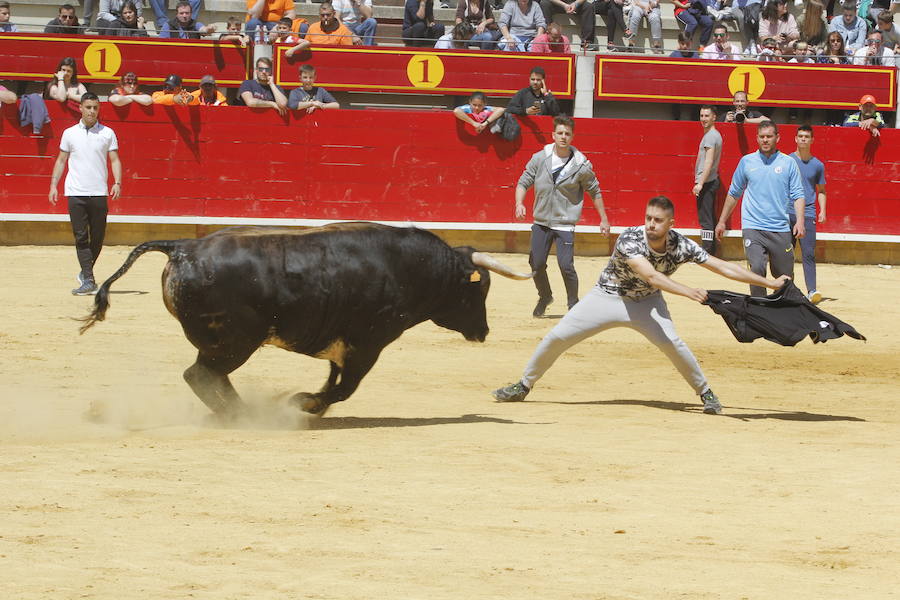 Fotos: Las fiestas de San Pedro Regalado en Laguna de Duero ya han comenzado