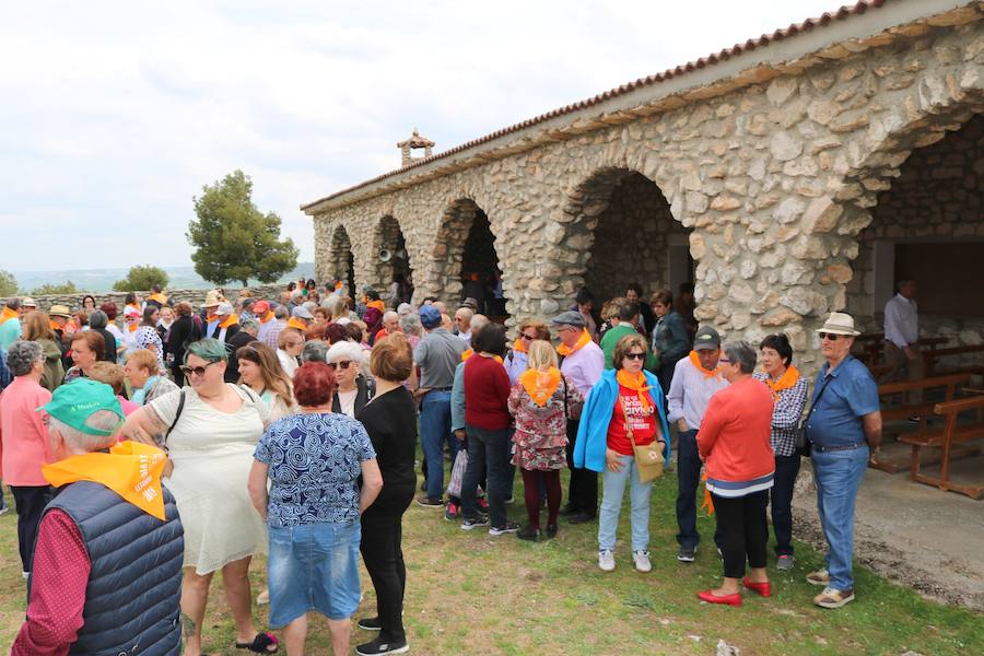 Fotos: Fiestas en Cevico de la Torre