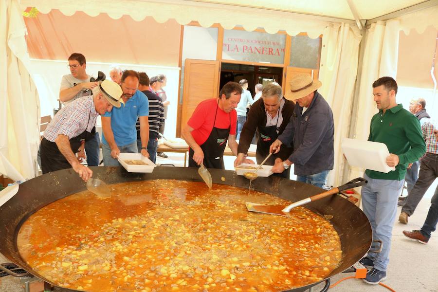 Fotos: San Isidro en Villaviudas