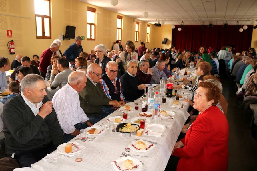 Fotos: San Isidro en Villaviudas