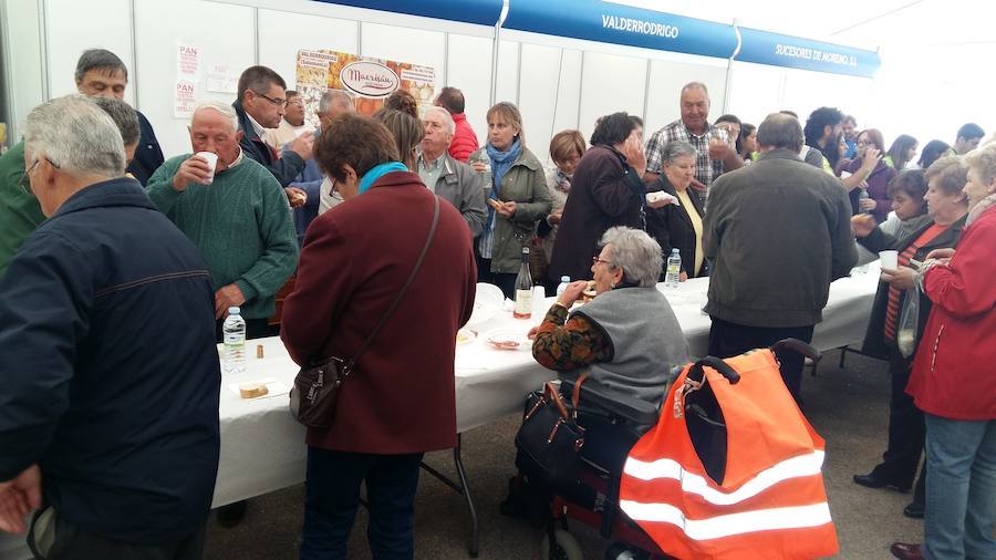 Fotos: Feria Transfronteriza del Aceite y el Olivar de Vilvestre