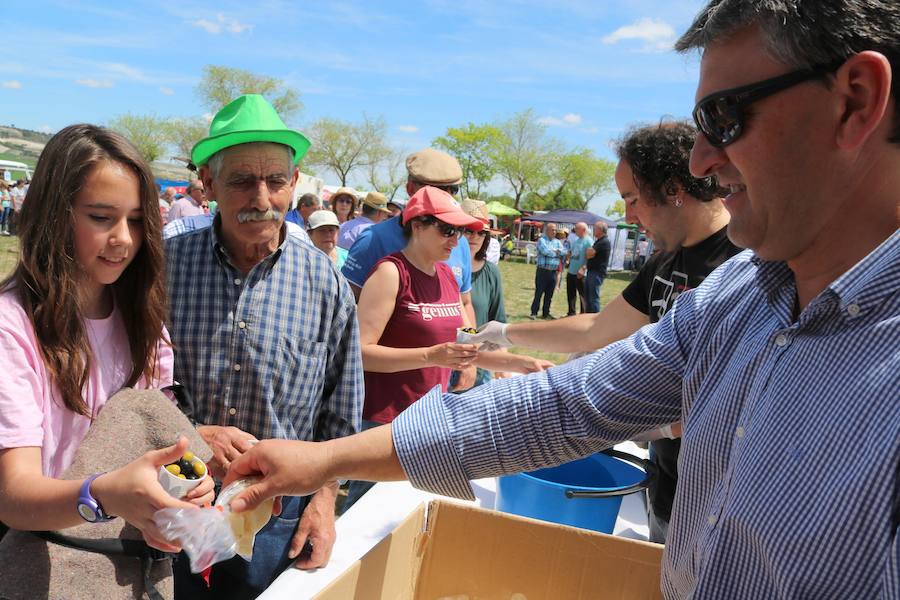 Fotos: Baltanás disfruta de la fiesta de San Gregorio