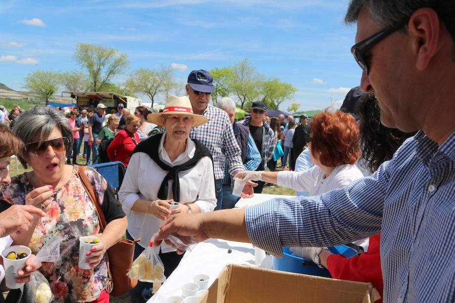 Fotos: Baltanás disfruta de la fiesta de San Gregorio