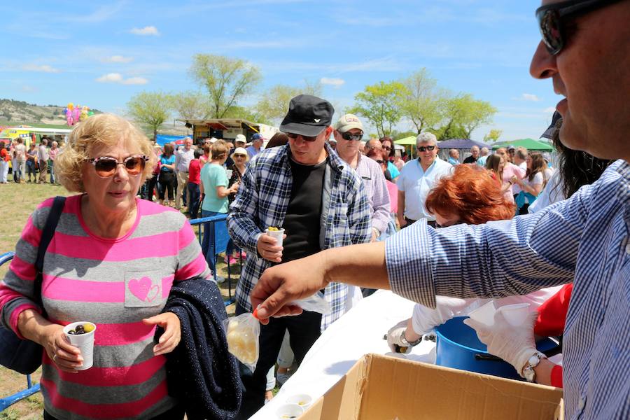 Fotos: Baltanás disfruta de la fiesta de San Gregorio