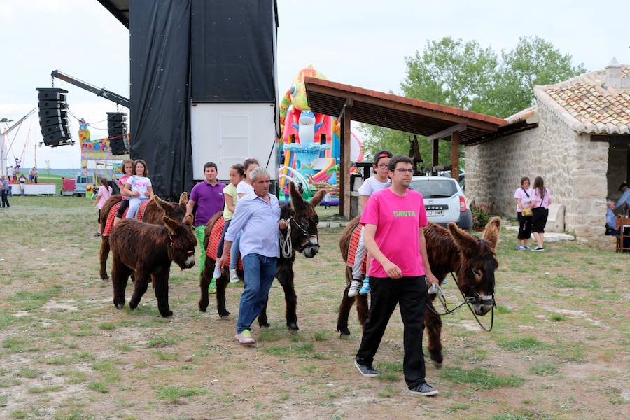 Fotos: Baltanás disfruta de la fiesta de San Gregorio