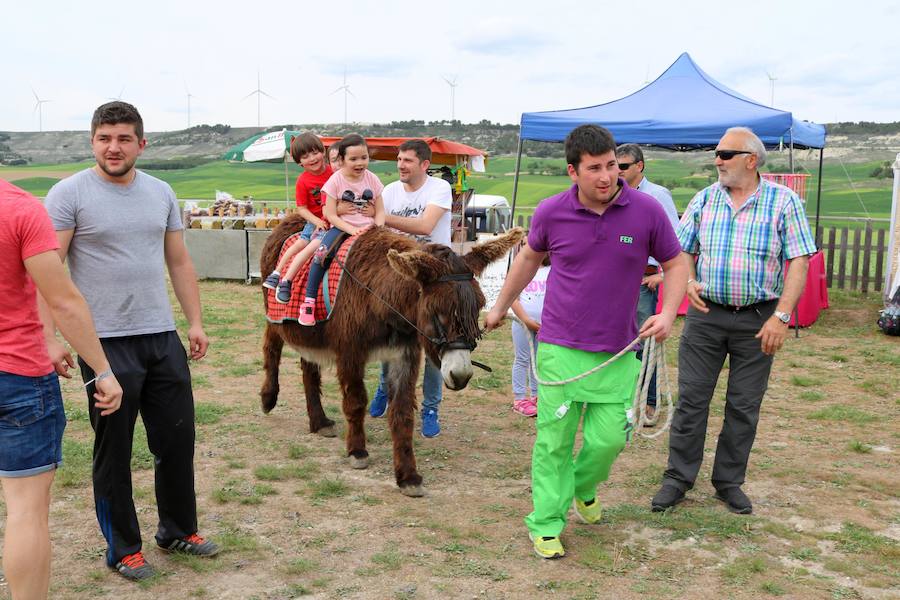 Fotos: Baltanás disfruta de la fiesta de San Gregorio